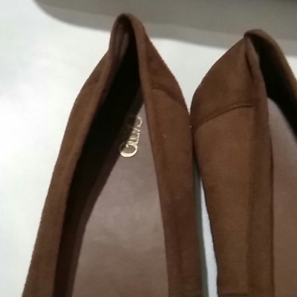 Cato - Picture 3 of 4